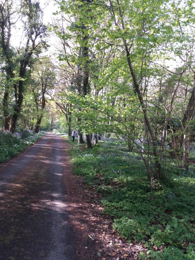 La Parenthese Bois De Cise Διαμέρισμα Ault Εξωτερικό φωτογραφία
