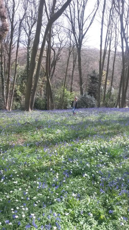 La Parenthese Bois De Cise Διαμέρισμα Ault Εξωτερικό φωτογραφία