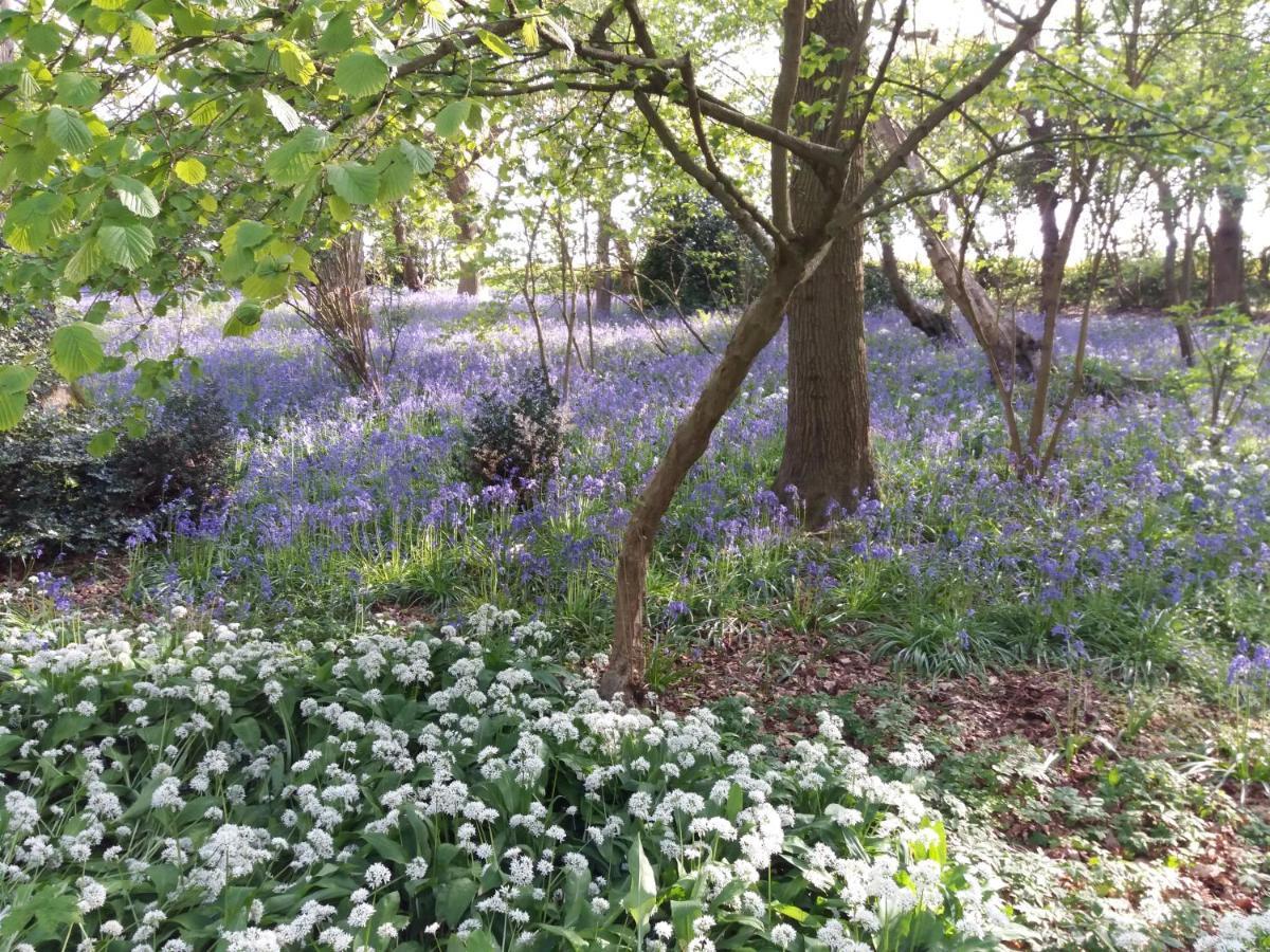 La Parenthese Bois De Cise Διαμέρισμα Ault Εξωτερικό φωτογραφία